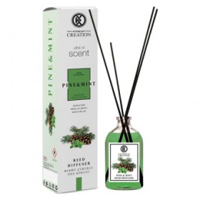 Reed Diffuser Pine & Mint Home Parfum