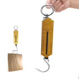 50kg pocket balance