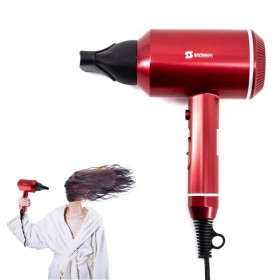 Sayona Hair Dryer