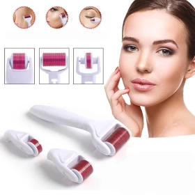 4 in 1 Derma Roller