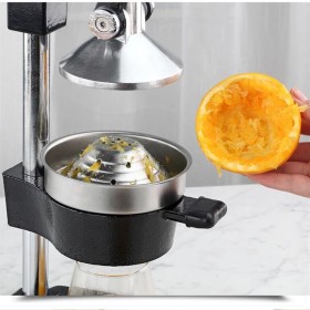 Citrus Juicer